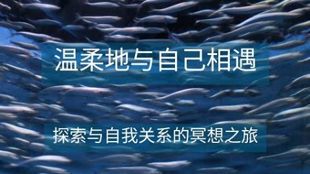 温柔地与自己相遇：探索与自我关系的冥想之旅 ｜萨提亚冥想