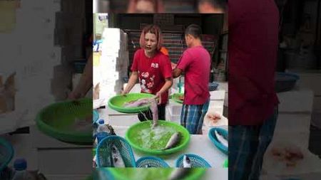 阿源海鮮拍賣 台中大雅 烏日 水湳 豐原 苗栗頭份