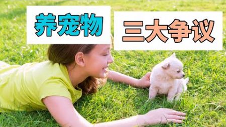 养宠物的三大争议#宠物 #猫咪 #狗狗 #狂犬病#知识 #科普 #咬人