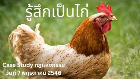 Case Study กฎแห่งกรรม ตอน รู้สึกเป็นไก่