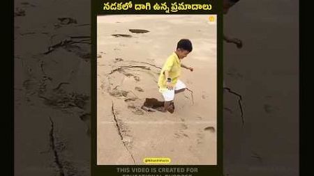 Hidden Dangers of Walking on Wet Sand at Beaches. #beach #danger #telugufacts #shorts #telugunews