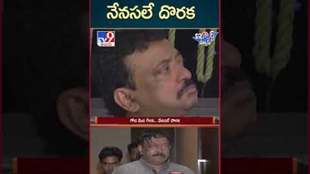 iSmart News : గోడ మీద గిరక.. నేనసలే దొరక - TV9