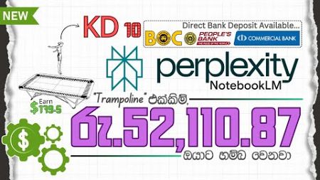 How to Make $179.5 Per 1 Trampoline Using Perplexity with Notebooklm + SEO | Make Money Online 2025