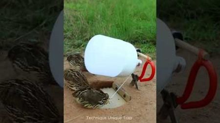 लाइट से शिकार करना सीखे🐦#entertainment #funny #जयआदिवासी #comedy #animals #shorts #short #shortvideo