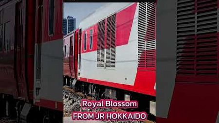 ขบวนท่องเที่ยวรถญี่ปุ่น Royal Blossom และ Srt Prestige 959 ไปอยุธยา #srt #train #รถไฟ