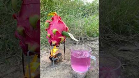 Survival Skills: SIMPLE and USEFUL / steam bad water in dragon fruit #bushcraft #camping #outdoors