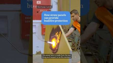 The last thing you&#39;d expect to stop fire could be your house&#39;s best defence | ABC News