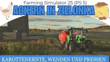 Karottenernte und Verkauf, Graswenden und Ballen pressen | Zielonka | Farming Simulator 25 (PS5)