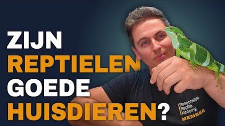 Zijn reptielen goede huisdieren?