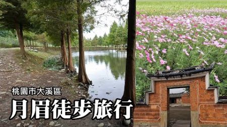 這個季節，最適合在大溪月眉徒步旅行：花彩節、落羽松、李騰芳古宅