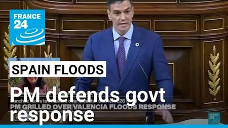 Spain govt &#39;fulfilled responsibilities&#39; in response to floods, says Sanchez • FRANCE 24 English