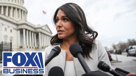 Tulsi Gabbard-Russia accusations come from &#39;left-wing loons,&#39; ex-Special Forces officer says