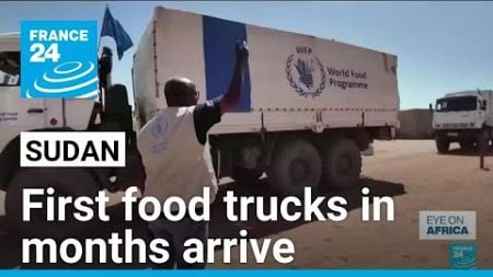 UN says first food trucks in months reach famine-hit Sudan camp • FRANCE 24 English