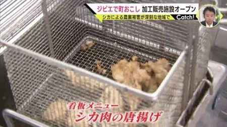 ジビエで町おこし 加工販売施設オープン　シカによる農業被害深刻な地域で