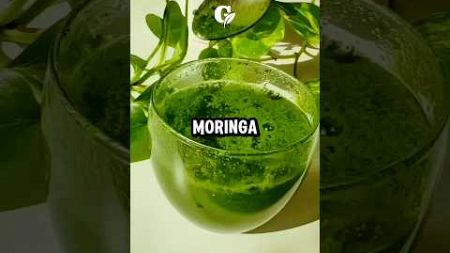 Nimm Moringa Pulver für 2 Wochen😱 #moringapulver #gesund #ernährung #gesundheit