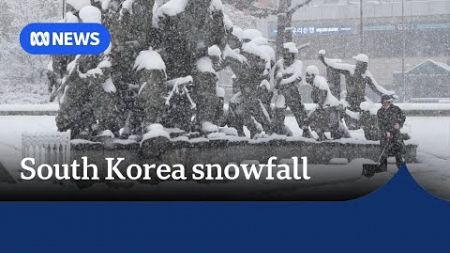 Flights cancelled, four dead as South Korea battles record snow | The World