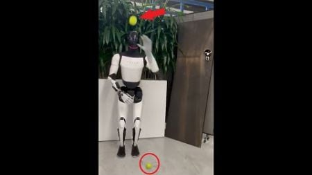 Elon Musk&#39;s Tesla Optimus robot catches high-speed tennis balls with new hand upgrade