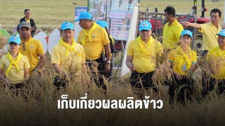 ศรีสะเกษเก็บเกี่ยวผลผลิตข้าว โครงการปลูกข้าวในพื้นที่ส่วนพระองค์