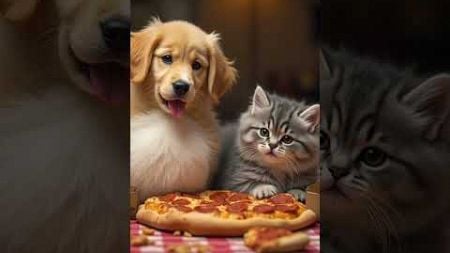 Cún con thi ăn pizza #ai #pets #haihuoc #funny