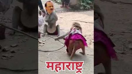 देवा भाऊ असेच करणार यांच्या सोबत #politics#funny#ncp#cm#ajitpawar #bjp#udhavthakarey#comedy #mns