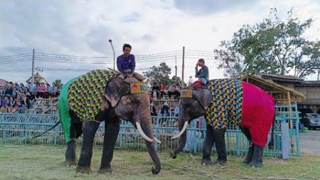 แฝด ร่วมงานกีฬาดารา การกุศล