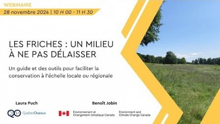 Webinaire - Les friches : un milieu à ne pas délaisser