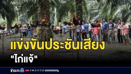 แข่งขันประชันเสียงไก่แจ้ สร้างรายได้ l ตลาดข่าว - ข่าวเช้าเวิร์คพอยท์ l 3 ธ.ค.67