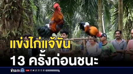 แข่งขันประชันเสียงไก่แจ้ ขันครบตามกติกา รับเงิน | ติ่งชงจงเสิร์ฟ | 2 ธันวาคม 2567