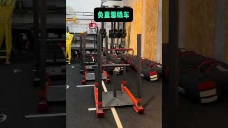 这只“熊猫”的身体素质一定不简单…crossfit crossfit训练 严班长 RHINOandHisFriends