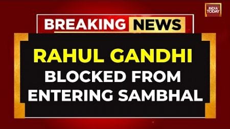 Rahul Gandhi Turns Back From Delhi-up Border, Was Denied Entry On Way To Sambhal | UP News LIVE