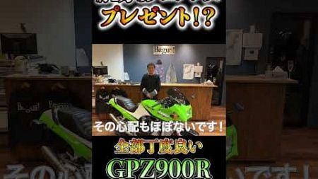 4万のフェンダーレスをプレゼント！？ 丁度良いGPZ900R販売中！ #gpz900r #中古バイク #旧車中古車 #shorts #ninja