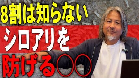 【注文住宅】新築の天敵！シロアリ防ぐ防蟻処理とは何をすればいいか徹底解説！