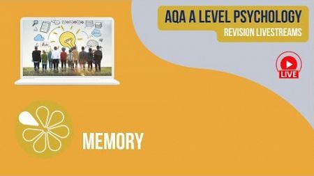 AQA A Level Psychology | Live Revision | Memory