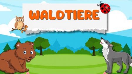 Waldtiere | Tiere lernen für Kinder | Tier Bildung | Wilde Tiere lernen | Lernvideos für Kinder