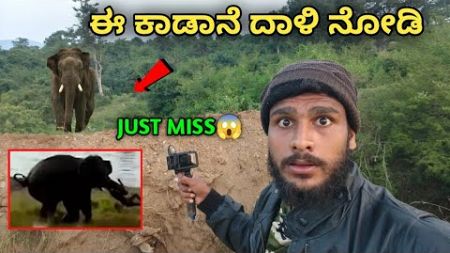 Wild Elephant Attack in Tribal Village🐘| Karnataka | Farmers | Night Camp | Avatar Shiva Official