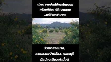 #เพชรบุรี #ที่ดิน #อสังหาริมทรัพย์ #ที่ดินแบ่งขาย #ที่ดินราคาถูก #ขายที่ดิน #ที่ดินเพชรบุรี #บ้าน