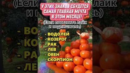 Причины неудач знаков зодиака #гороскоп #знакизодиака #астрология