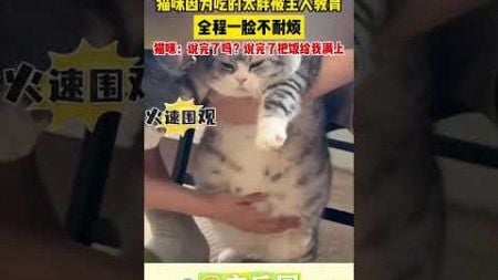 猫咪因为吃的太胖被主人教育 全程一脸不耐烦 猫咪：说完了吗？说完了把饭给我满上 #宠乐园 #轻松一刻 #动物