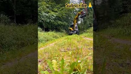 Big tress Road side cutting machine #machine #technology #viralvideo #trending #shorts #modern #nice