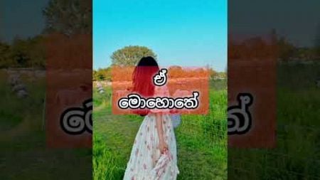 අනිත් අයව වෙනස් කරන්න යන්න එපා 💯🤍🥺#sinhalawadan #selfimprovement #love #trending ❤️🌸❤️‍🩹