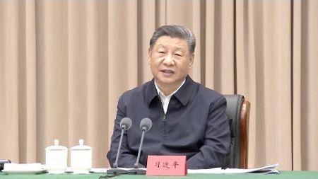 President Xi urges progress in building Hainan Free Trade Port