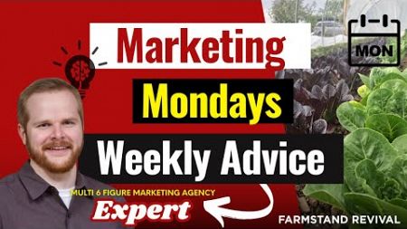 12/16 - Marketing Mondays!