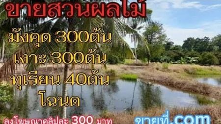 #ขายที่ดิน #สวนผลไม้ #โฉนดที่ดิน #ที่ดิน #ตราด