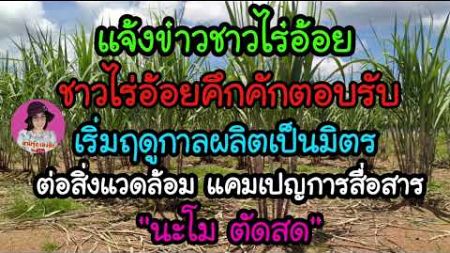 ชาวไร่อ้อยคึกคักตอบรับเริ่มฤดูกาลผลิตเป็นมิตรกับสิ่งแวดล้อม