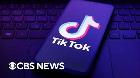 TikTok asks Supreme Court to block ban