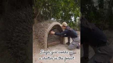 single girl works as a shelter in the forest #survival #logcabinliving #camping #bushcraft #build