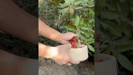 Make a container with kaolin #outdoors #survival #bushcraft #camping