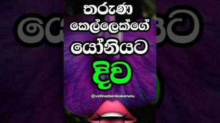 කෝ බලන්න මේක කරන අය 😍 #shorts #education #facts