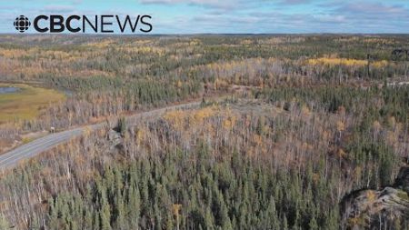 N.W.T. has a lot of trees. Why not turn them into wood pellets for heating?