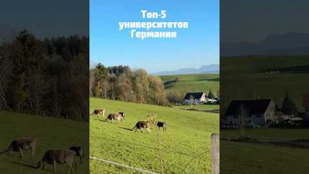 Топ университетов Германии #германия #рейтинг #образование